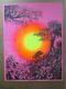 Vintage Synthetic Trips In The Evening Black Light Poster 1970 In#g4070