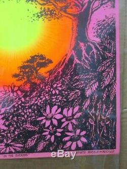 Vintage Synthetic trips In the evening Black Light Poster 1970 In#G4070