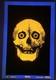 Vtg 1970's Human Skull Black Light Glowing Poster Dargis Associates Inc 3324