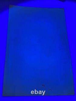 Vtg 1970's Seldom Seen Koala Bears Black Light Glowing Poster Velva Print Vtg 1970's Seldom Seen Koala Bears Black Light Glowing Poster Velva Print
