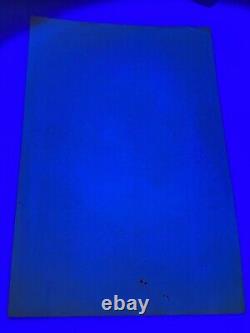 Vtg 1970's Seldom Seen Koala Bears Black Light Glowing Poster Velva Print