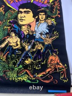 Vtg Bruce Lee Kung Fu Black Light Flocked Velvet Poster Dragons 1974 Pro Arts